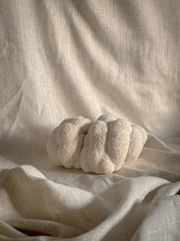 WhatsApp Image 2025-04-11 at 6.22.36 AM (1).webp