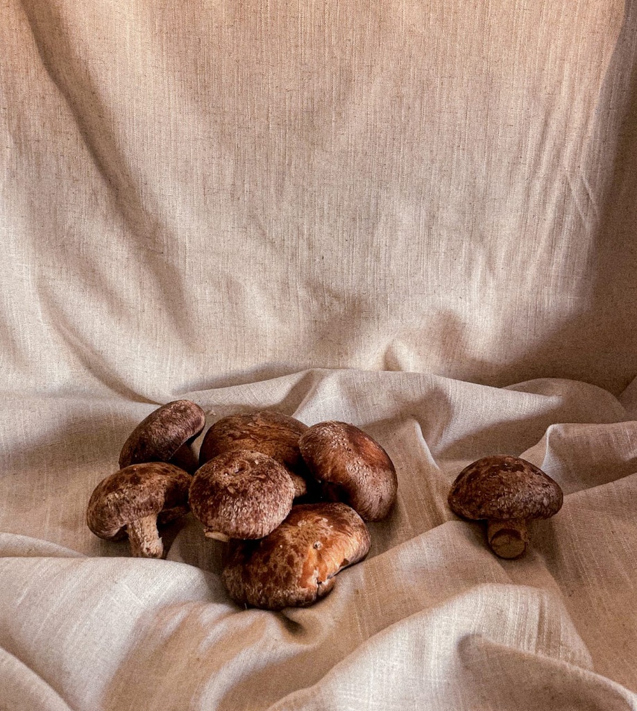 WhatsApp Image 2025-04-07 at 11.07.02 AM.webp